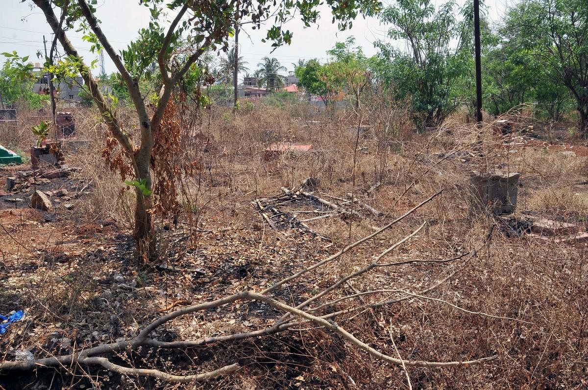 The crematorium at Ramanahalli in Chikkamagaluru is overrun by the growth of weeds.