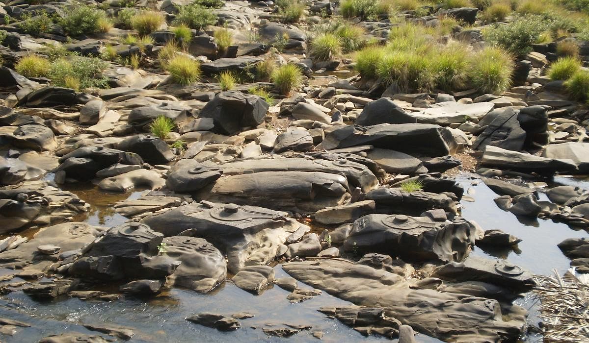 Sahasralinga near Sirsi. (photo by author)