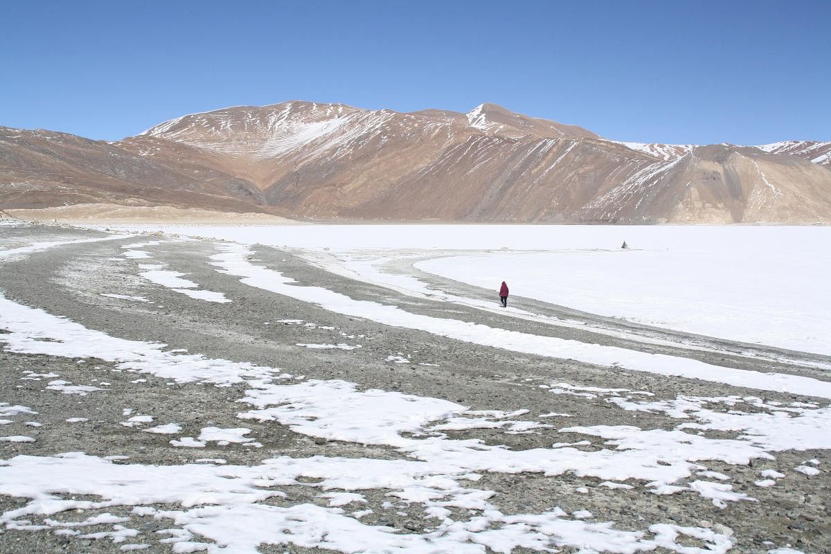 The frozen lake in the Changthang region of Ladakh. PHOTOS BY AUTHOR