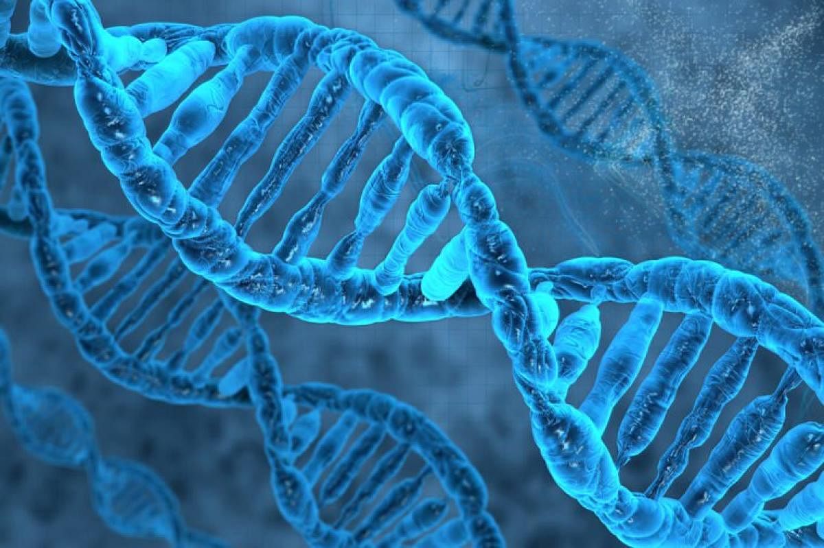 McDade said he was surprised to find so many associations between socioeconomic status and DNA methylation, across such a large number of genes. File photo