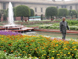 Indian President Pranab Mukherjee looks at flowers in the Mughal Garden's before they open to the public in New Delhi on February 15, 2013. AFP