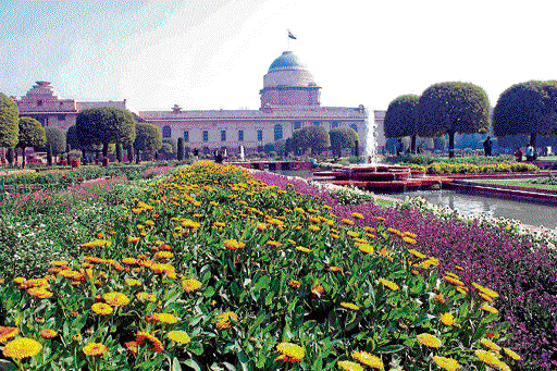 Blossoms Mughal Gardens at Rashtrapati Bhavan attract lakhs of visitors annually.