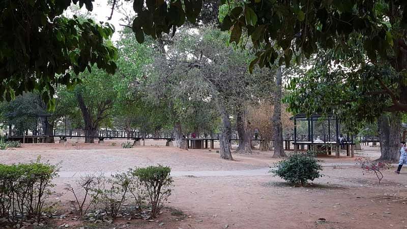 A file picture of the birds' park inside the Manyata Tech Park's Residential Enclave near Nagawara on Outer Ring Road. Photo: Special Arrangement