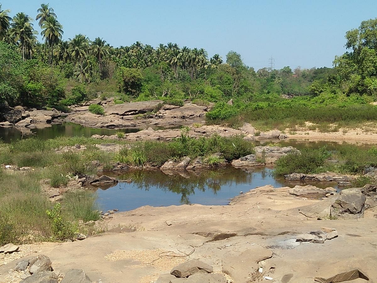 A view of the dried up Seetha river at Hebri in Udupi.