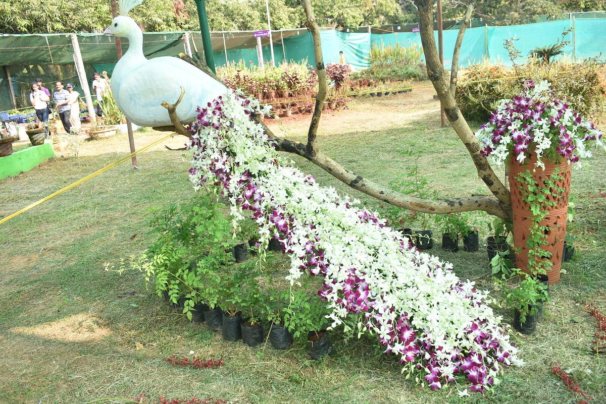 A white peacock made of orchids on display as part of the exhibition organised by Alia Orchid Care at Kadri Park.