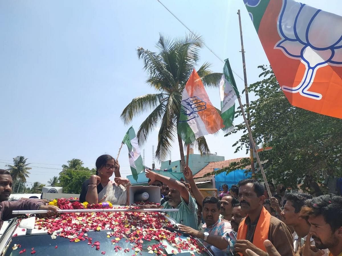 JD(S), Congress and BJP flags seen during the election campaign of Independent candidate A Sumalatha in Konapur, Malavalli taluk, Mandya district, on Saturday.