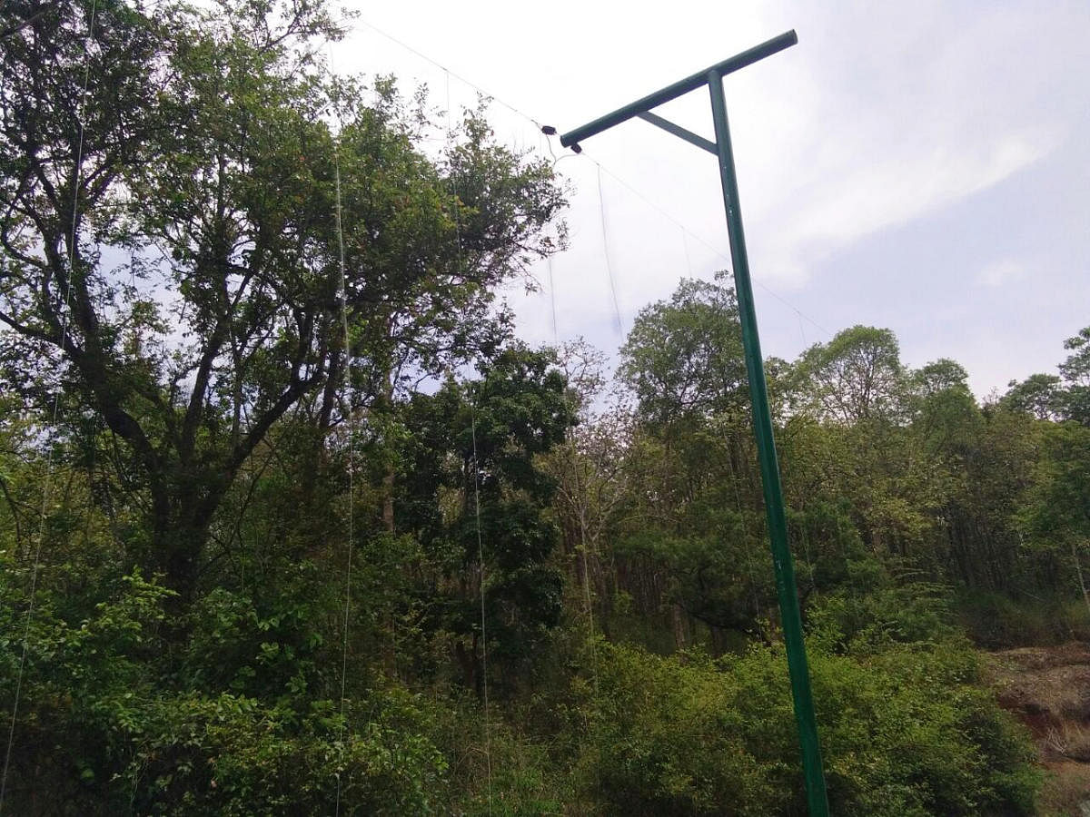 A view of the hanging solar fence installed on Devamacchi forest limits in Kodagu.