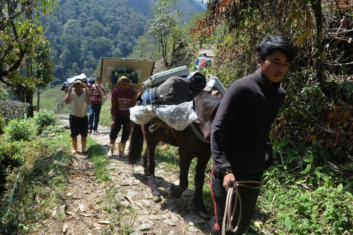 Poll station workers transport Electronic Voting Machines (EVM) and Voter-Verified Paper Audit Trail (VVPAT) machines with a horse on the trek to the remote high altitude Darjeeling constituency polling station. AFP photo.