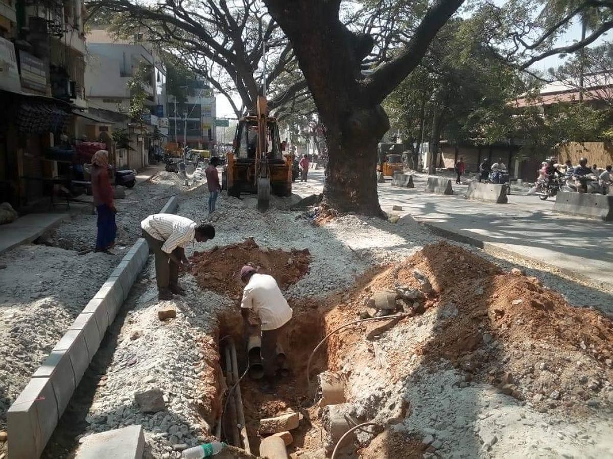 This picture, taken during ‘white-topping’ in Basavanagudi, shows how roads and footpaths are built with concrete choking trees.