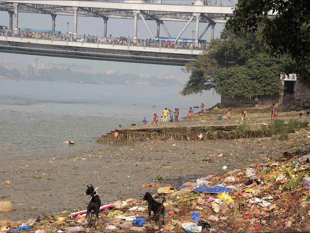 Two days after Ganga activist GD Agarwal died at AIIMS in Rishikesh, another person fasting for the conservation of the river was rushed to the premier institute on Saturday. (PTI File Photo)