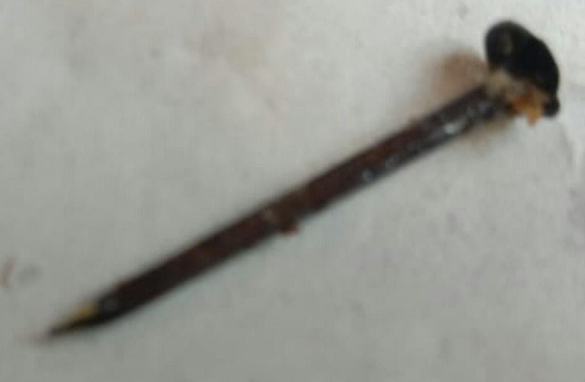 A iron nail that was found in a samosa, purchased from a roadside food stall in Udupi.
