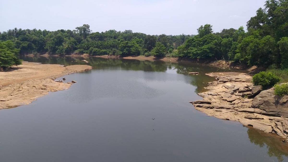 A view of Swarna river at Hiriyadka in Udupi.