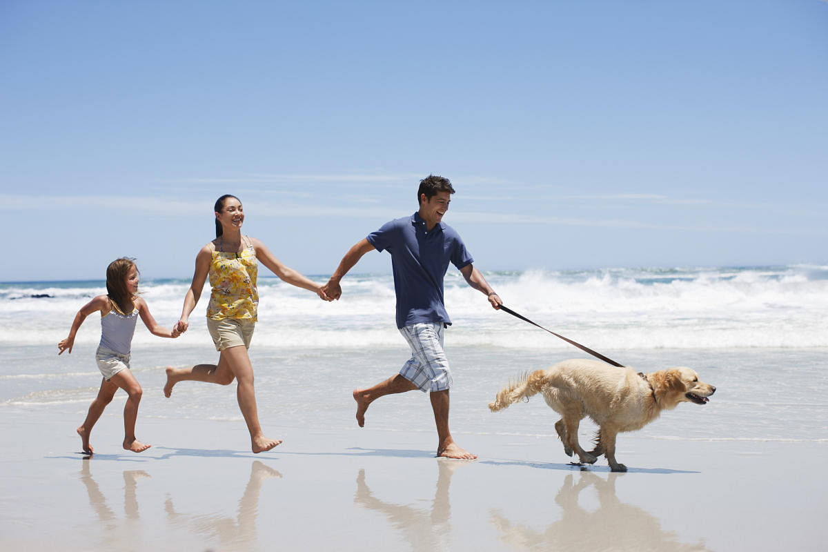 As an emerging pet-friendly destination, India is trying to make avenues for your canine family.