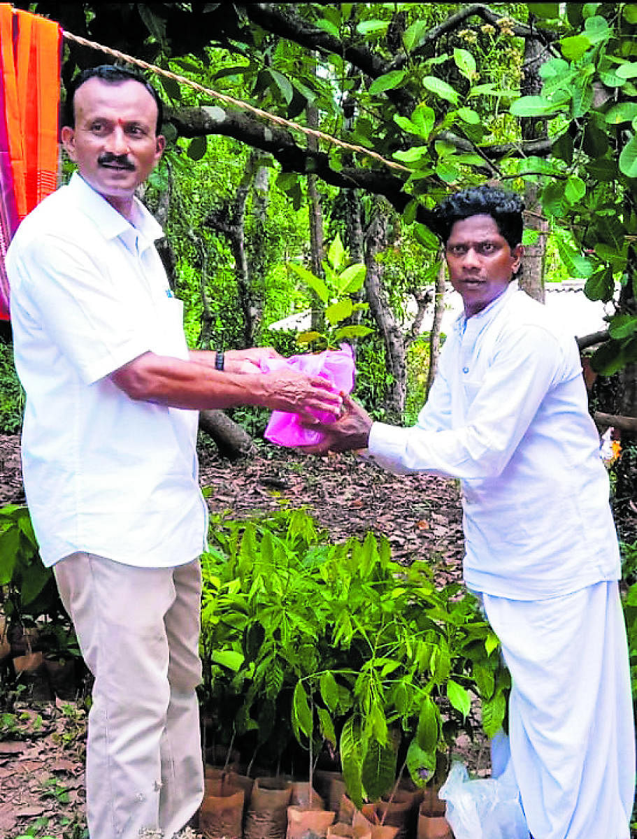Chandra Nalike Idbadi hands over a sapling to a guest at the house-warming ceremony of his house in Idbadi village, Kedambadi in Puttur taluk.