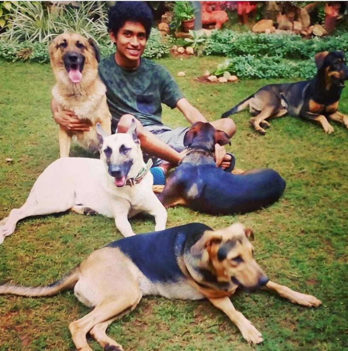 Vikram says his dogs enjoy having curd during summer.