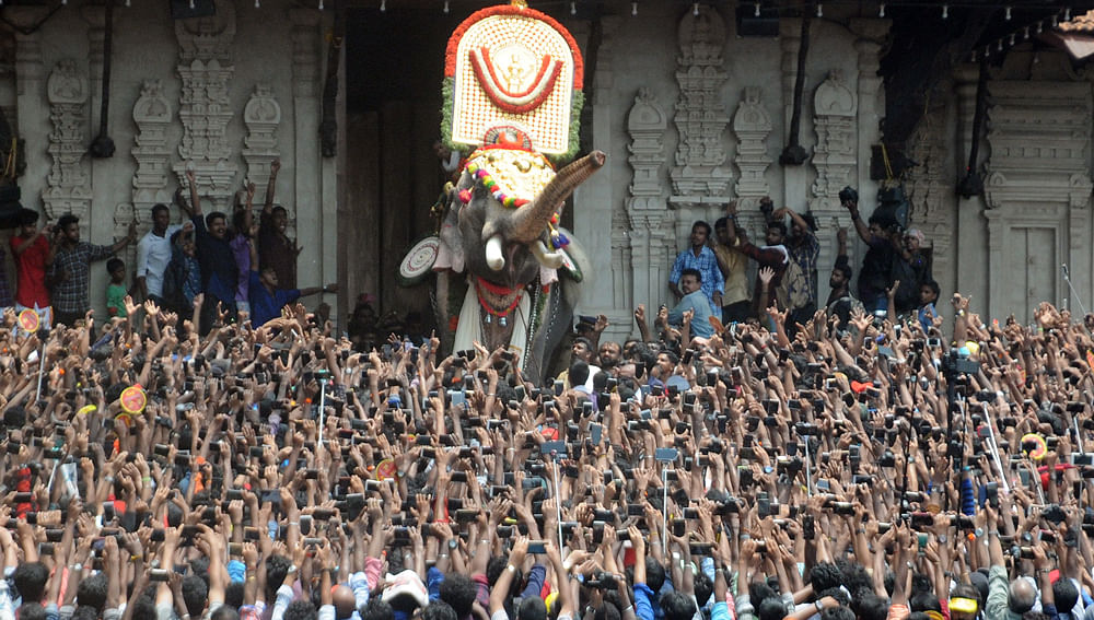 On the basis of a report of an expert committee, the Kerala government took a stand against parading the elephant at the Thrissur pooram.