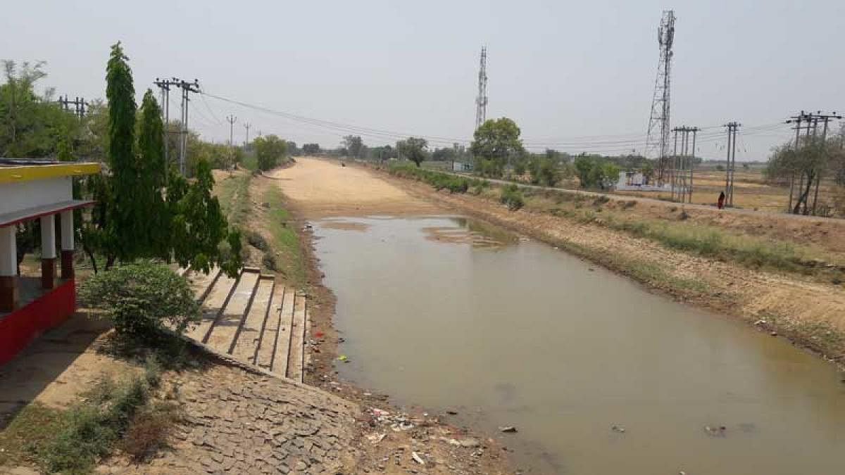 With the temperature soaring to 42 degree Celsius, canals in Sasaram, the major source of irrigation here, have started drying up. (DH Photo)