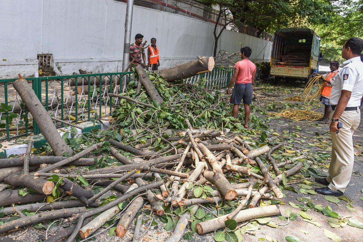 BBMP Forest division workers removing tree branches, which is fell down on road due to heavy wind and rain at Vidhana Soudha road near Basveshwara Circle (Chalukya Circle) in Bengaluru on Wednesday. (DH Photo by S K Dinesh)