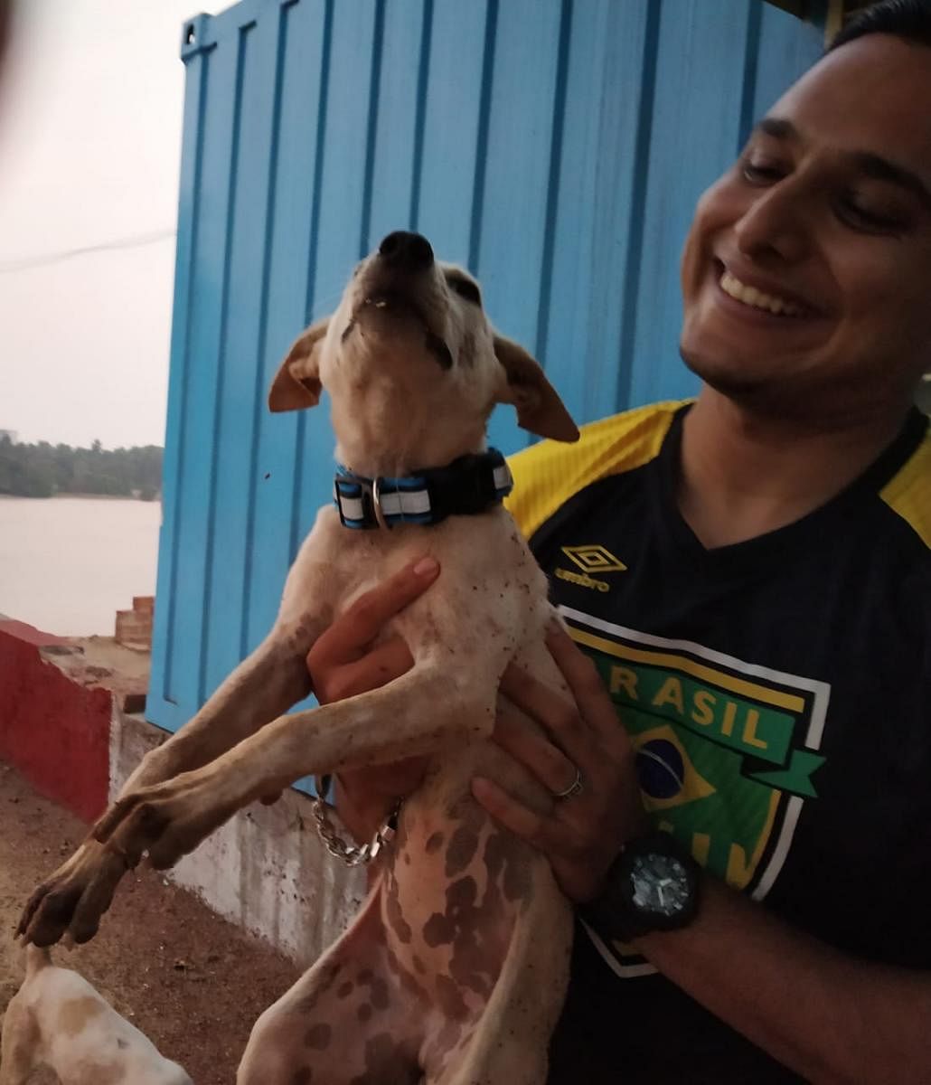Certified paravet Touseef Ahmed and a stray dog with the reflective collar.