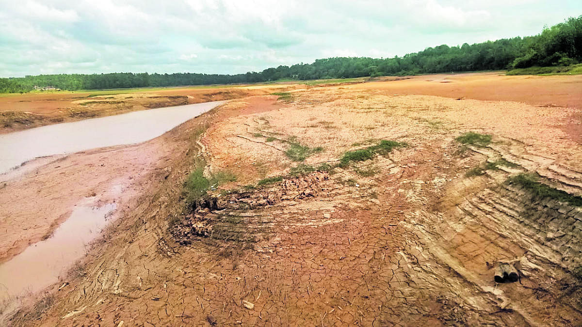 Silt accumulated in Harangi river catchment areas.
