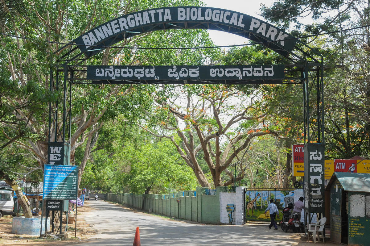 Bannerghatta Biological Park. DH PHOTO/S K Dinesh