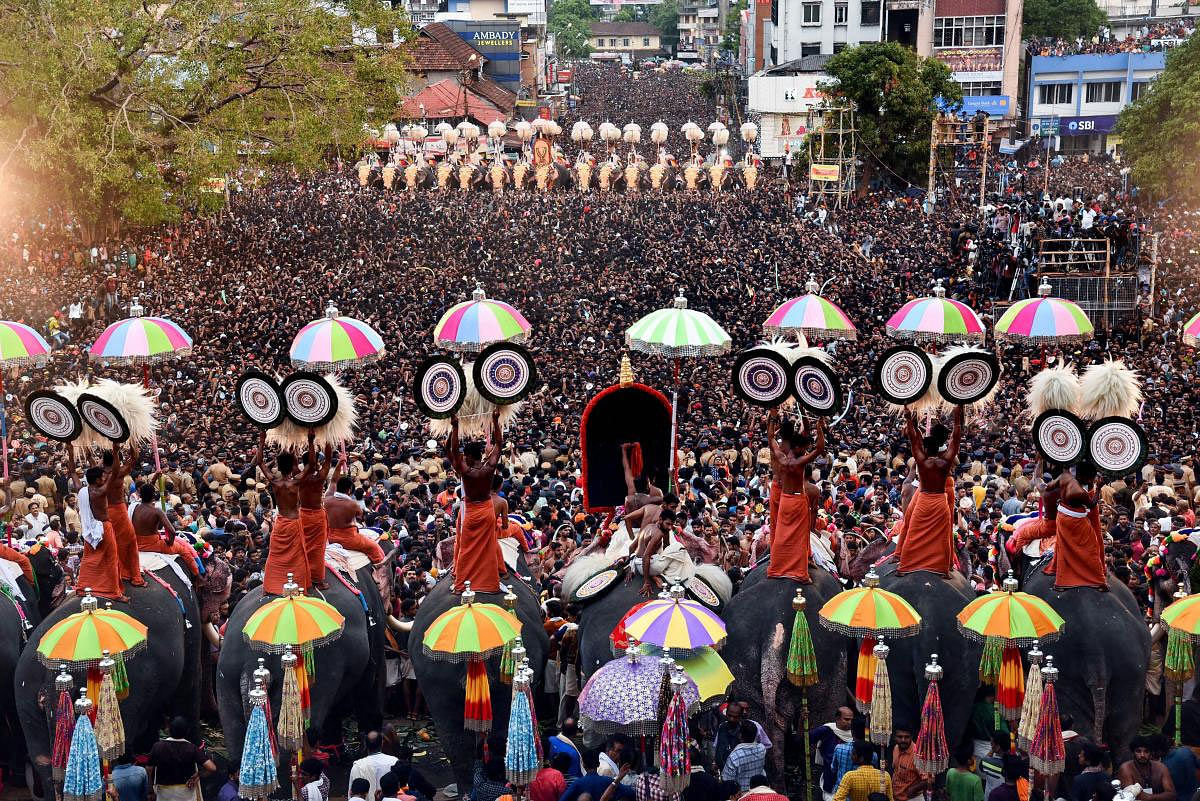 As many as 98 elephants were paraded on the ‘Thekkinkadu’ hillock ground premises of the Vadakkunnathan Temple at Thrissur town for the Pooram fest, right from the early hours of Monday. Percussion performance by hundreds of performers, including well-known players, reverberated in Thrissur town for hours. Padma award winner percussionist Peruvanam Kuttan Marar even fainted during the performance. PTI file photo