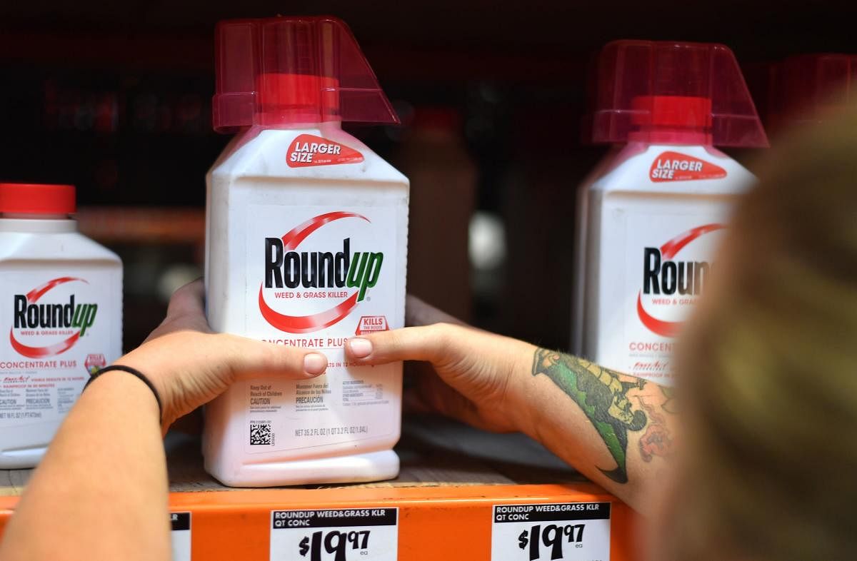 (FILES) In this file photo taken on July 9, 2018, an employee adjusts Roundup products on a shelf at a store in San Rafael, California. - A jury in California on May 13, 2019 ordered Bayer-owned Monsanto to pay more than $2 billion damages to a couple tha