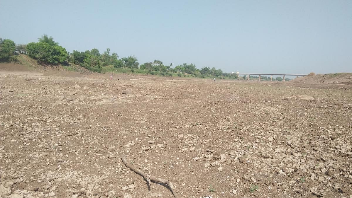 The dried up Krishna riverbed at Manjri village in Chikkodi taluk in Belagavi district. DH Photo