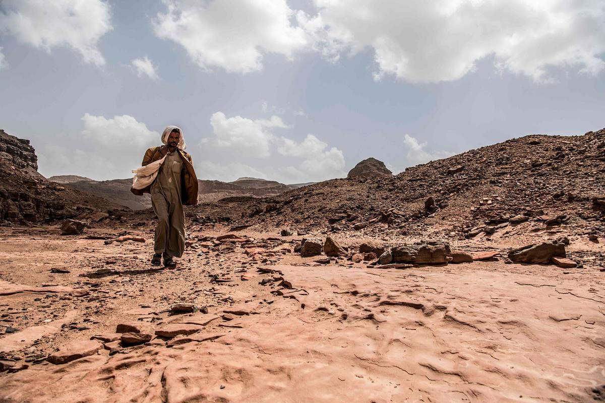 Ibrahim Musalam, a 28-year-old Egyptian Bedouin desert guide, walks in the Abu Sour valley, near the coastal town of Abu Zenima in the South Sinai governorate. (Photo by AFP)