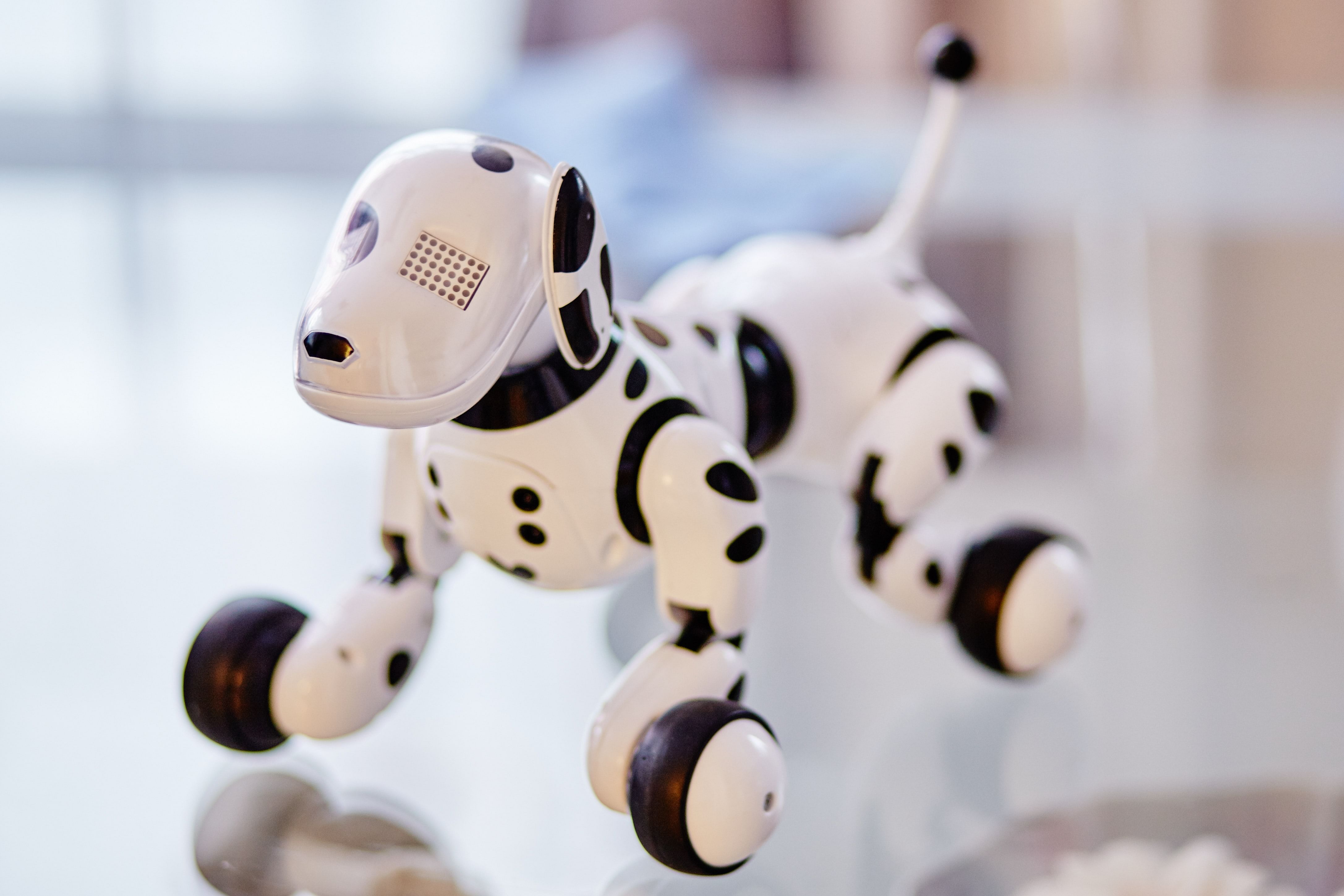 Dubbed Stanford Doggo, the robot can be easily built by anyone by consulting comprehensive plans, code and a supply list that the researchers have made freely available online. File photo for representation