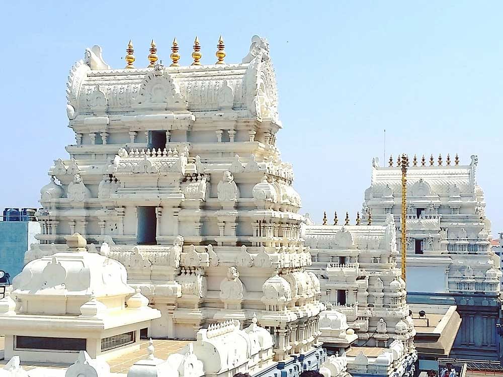 The National Green Tribunal has constituted a committee to ensure setting up of a bio-diversity park and groundwater recharge facility by ISKCON at Vrindavan near Mathura, where the organisation is building a 70-story temple. File photo for representation