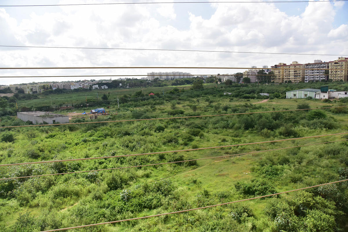 Over three acres of the 47-acre Kaggadasapura Lake have been encroached upon. DH FILE PHOTO/B H Shivakumar