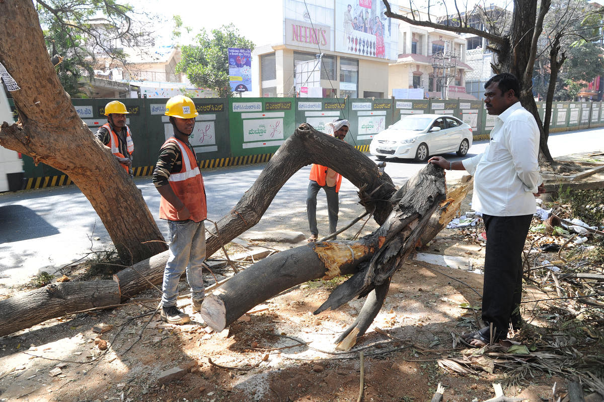 An official said BBMP will share project details with the activists soon. DH FILE PHOTO