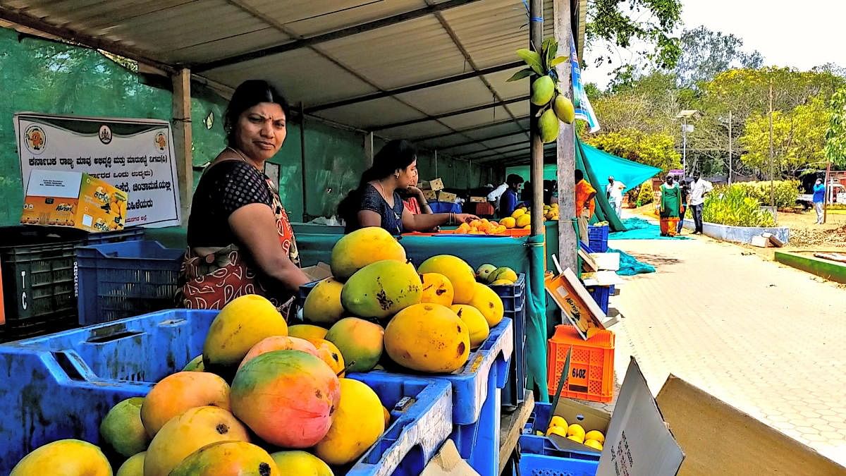 A mango stall set up at the Kadri IT Park in Mangaluru. Such stalls will soon be set in Bengaluru’s tech parks.