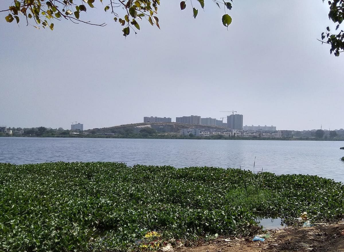 BBMP will pump Rs 348 crore into lake restoration work.