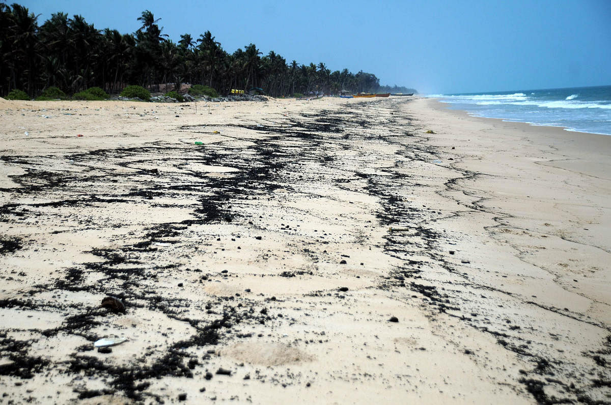 Remains of tar which washed ashore on Ermal beach in Udupi district.