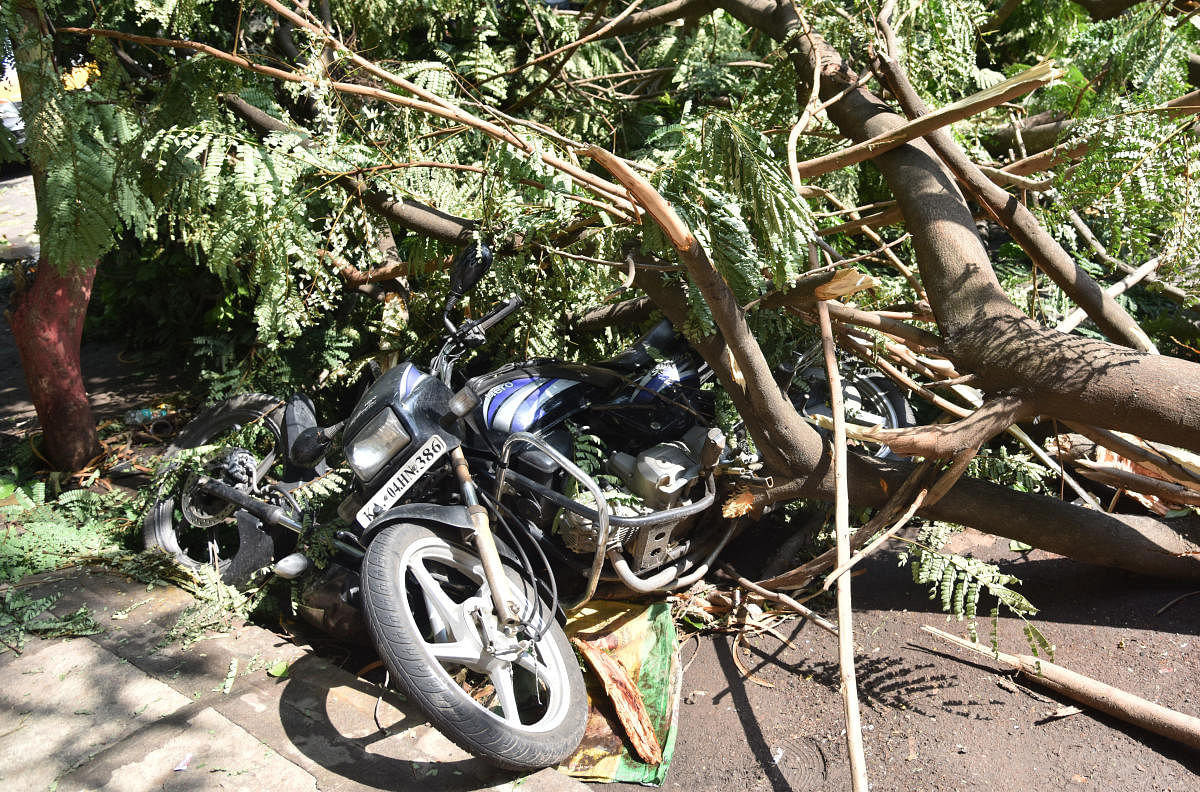 A two-wheeler was damaged after a tree fell on it near Vyalikaval Police Station limits on May 27. dh photos by Janardhan B K