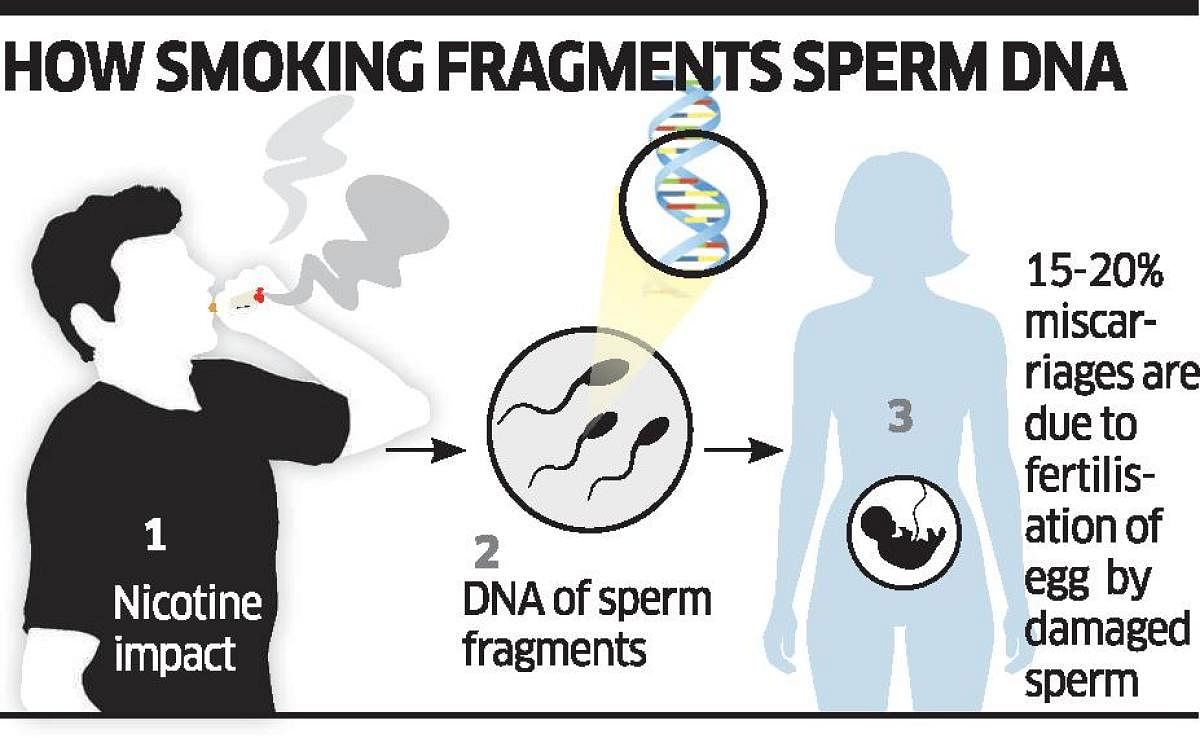 Smoking - DNA sperm