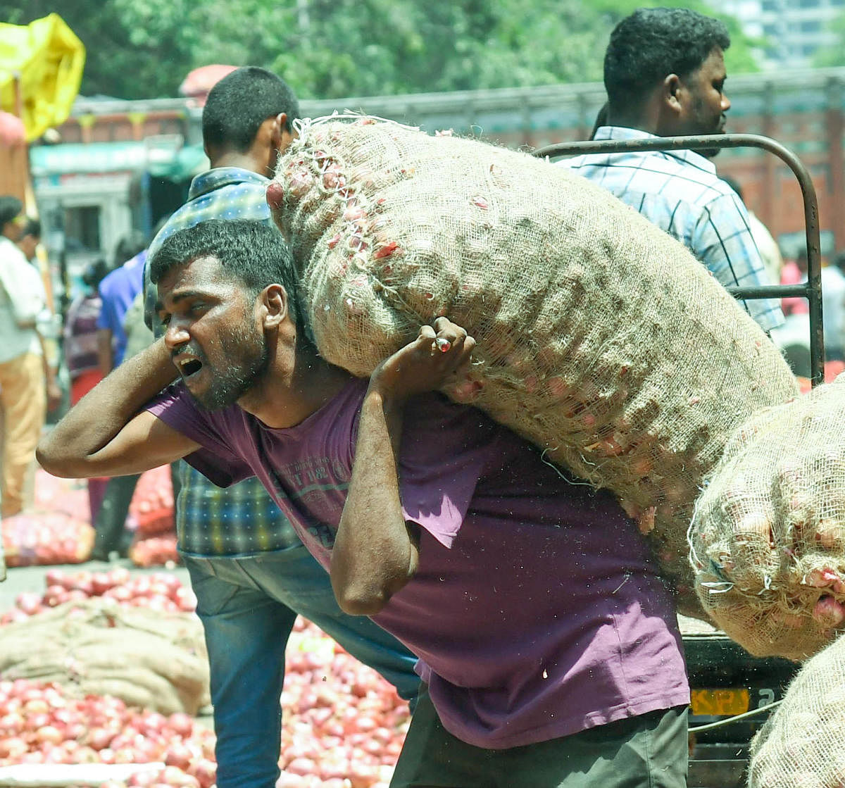 Porters lifting heavy loads at the APMC Yard in Yeshwantpur in Bengaluru. DH Photo/B H Shivakumar