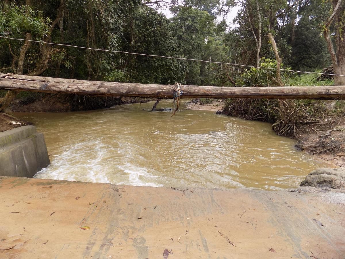 A temporary footbridge built by residents of Tattekere hamlet across the waterbody in Balele in Gonikoppa.