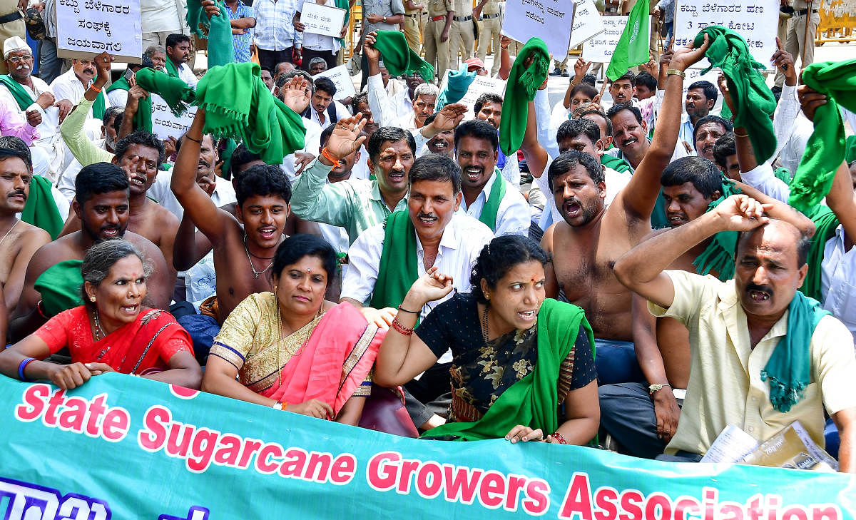The activists of sugarcane growers association stage a dharna in Freedom Park in Bengaluru demanding the state government ensure payment of arrears from sugar factories, on Tuesday. DH Photo