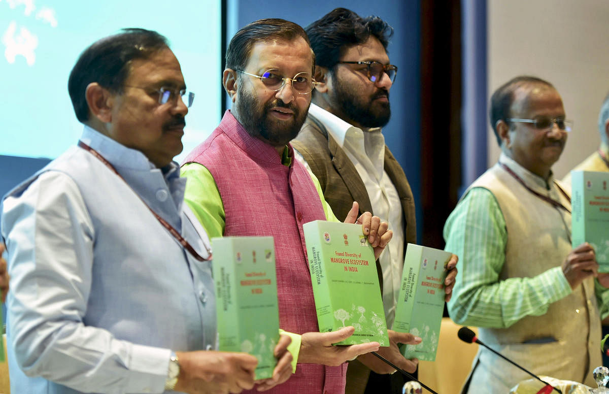 Speaking at an event to mark World Environment Day, which was on June 5, the minister said the situation "is not as bad" as being portrayed in the media. File Photo