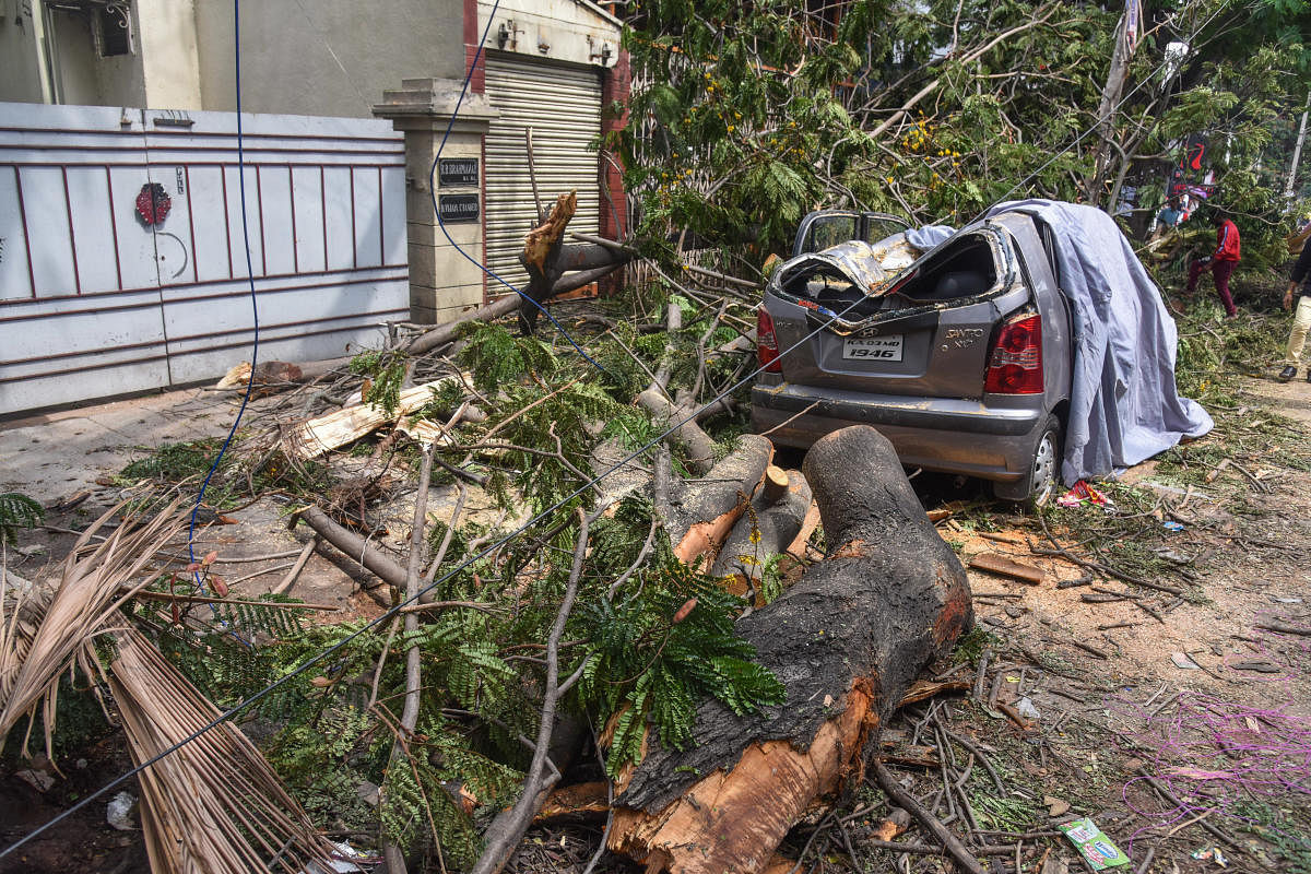 A damaged car after a tree fell on it during heavy rain and thunderstorm at KH Road in Bengaluru on Friday. Dh Photo/S K Dinesh