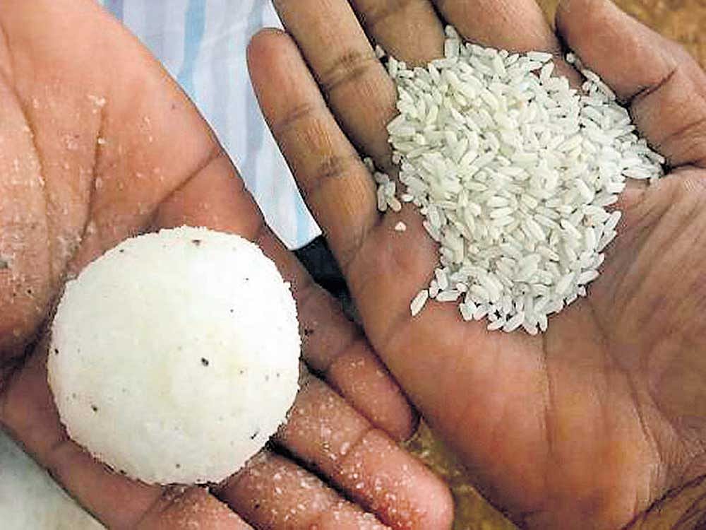 Rice was being distributed through Food Corporation of India under Anna Bhagya scheme and over 2.77 lakh metric tonnes of rice was required every month, he noted. DH photo.