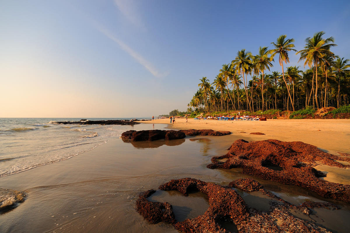 Morjim Beach in Goa.