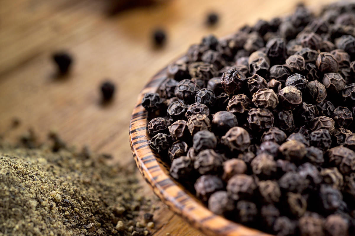 Researchers for the first time have provided molecular evidence that black pepper (Piper nigrum) originated in the Western Ghats during the late Miocene era or 6.3 million years ago.