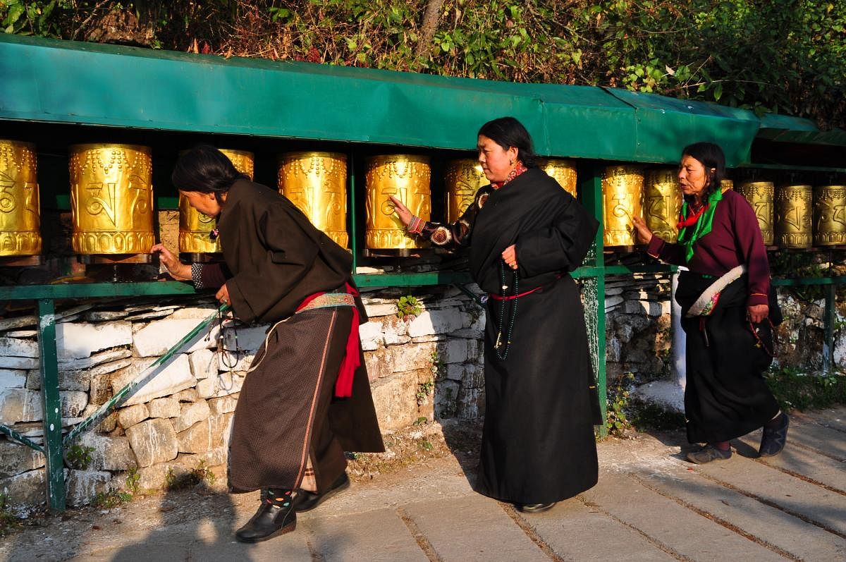 In reverence Tibetan Buddhist women spin the prayer wheel while circumambulating, called ‘Ling Khor’.