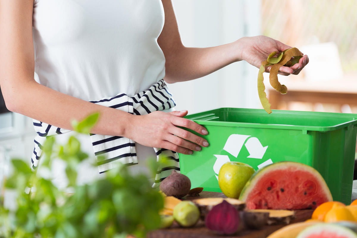 Many restaurants recycle their waste today