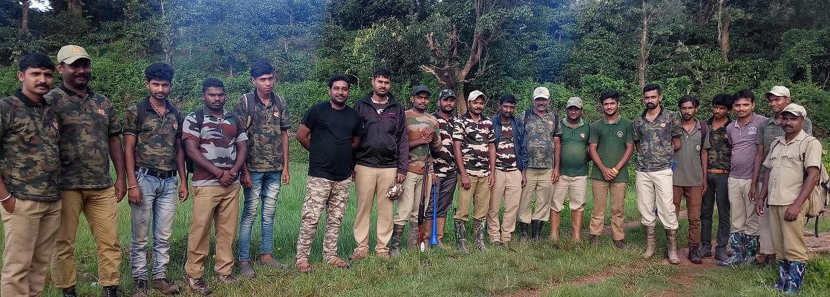 A team of Forest Department officials engaged in chasing wild elephants in South Kodagu.