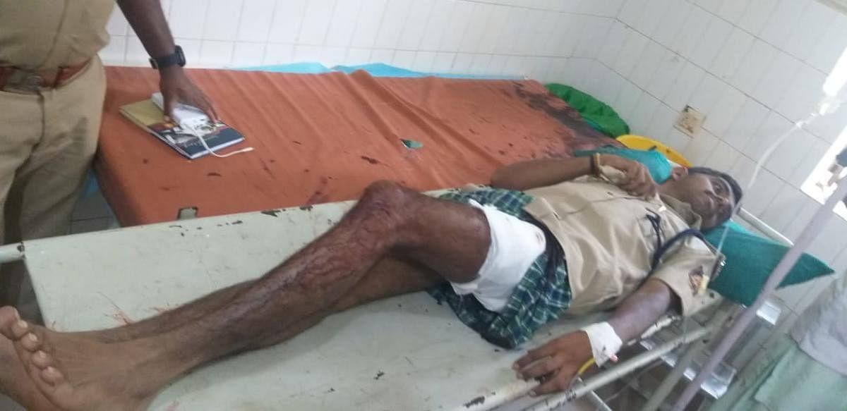 RFO Raghavendra being treated at the Government Hospital in Gundlupet.